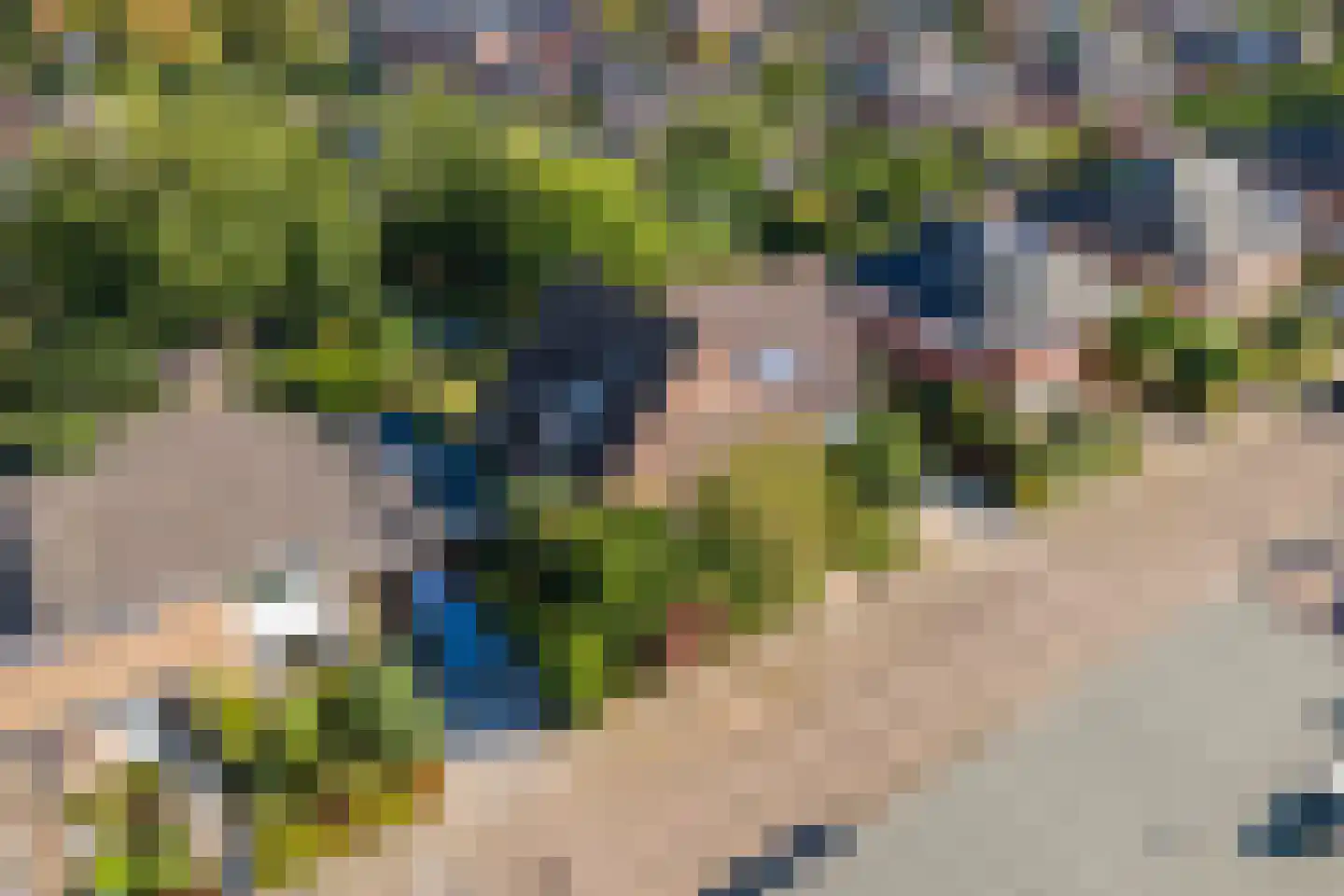 Regentessestraat 6 Geldermalsen thumbnail 73