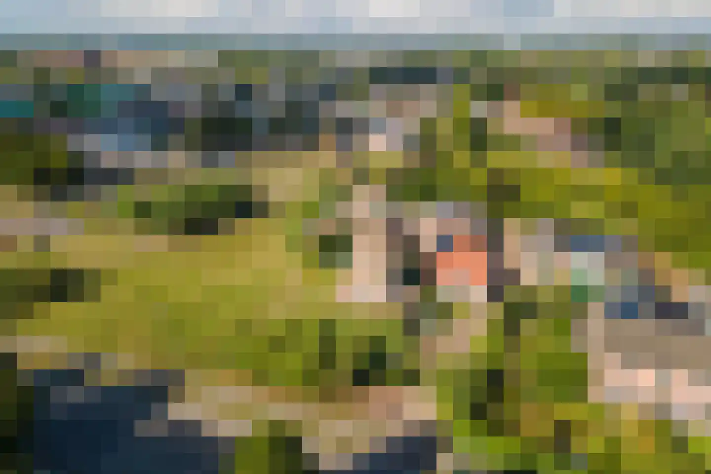 Regentessestraat 6 Geldermalsen thumbnail 76