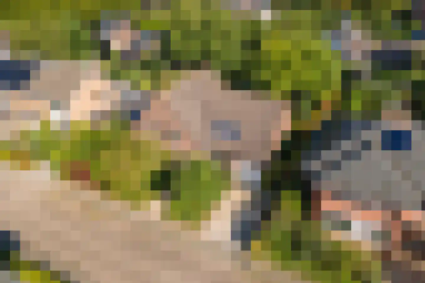 Regentessestraat 6 Geldermalsen thumbnail 8