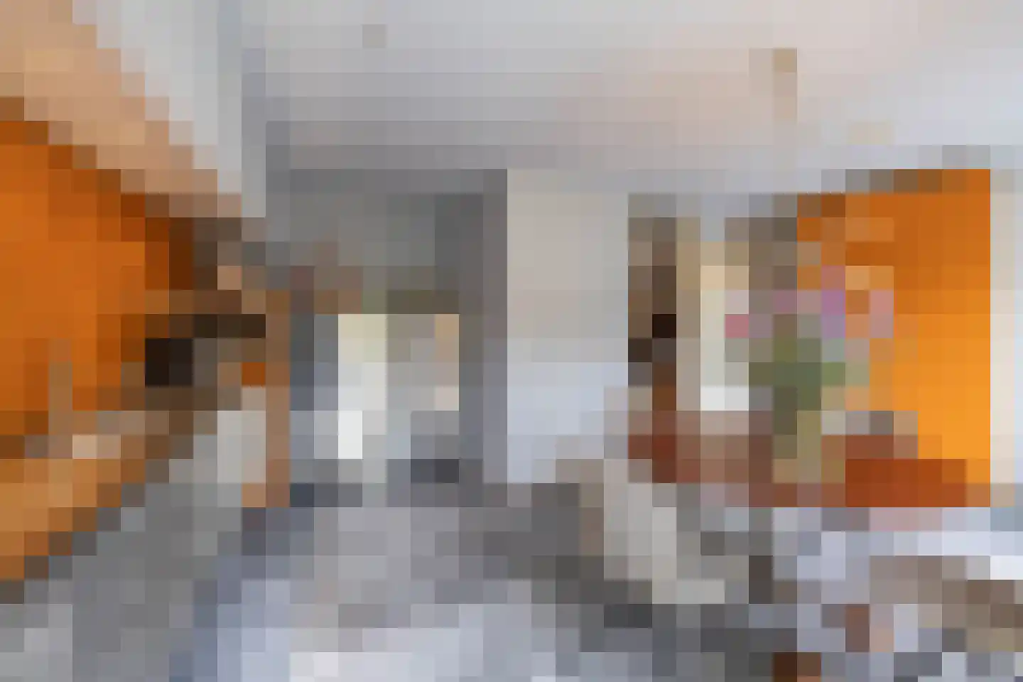 Regentessestraat 65 Groningen thumbnail 14