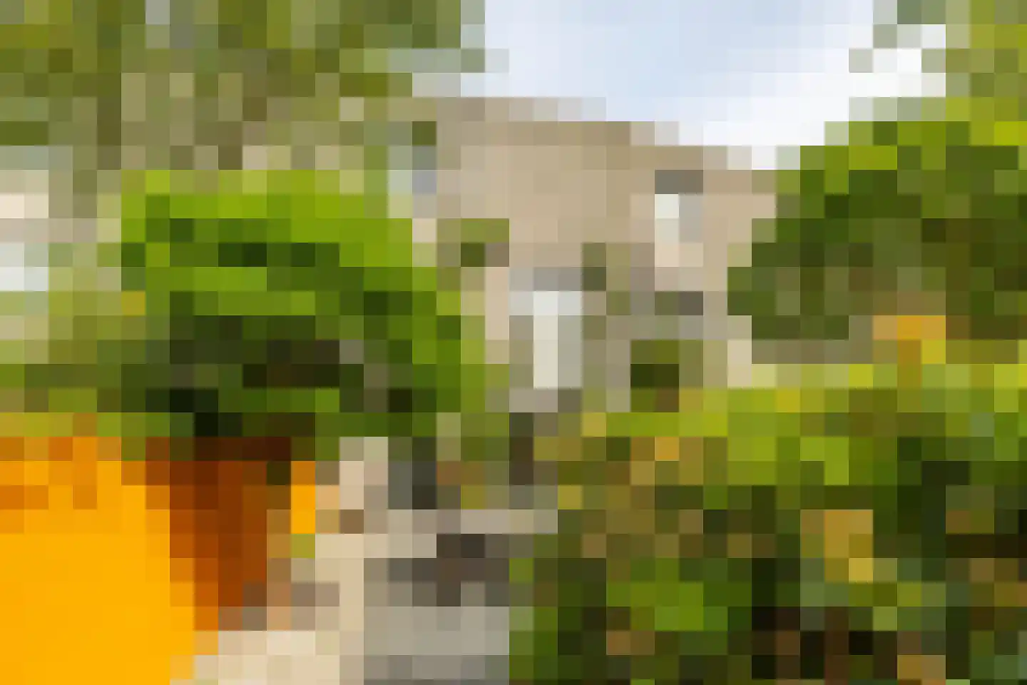 Regentessestraat 65 Groningen thumbnail 16