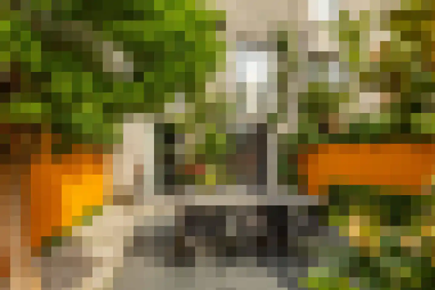 Regentessestraat 65 Groningen thumbnail 17