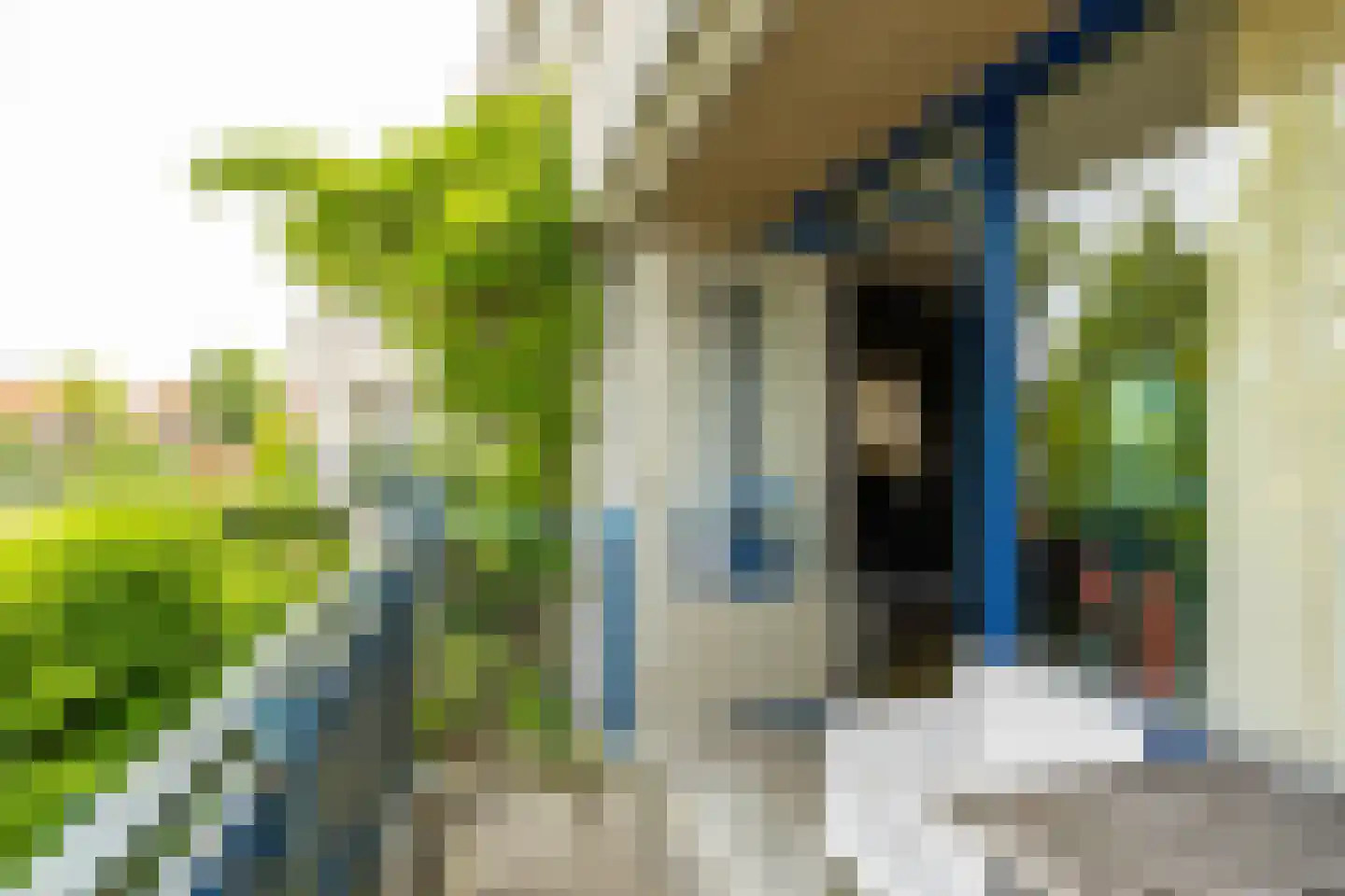 Regentessestraat 65 Groningen thumbnail 23
