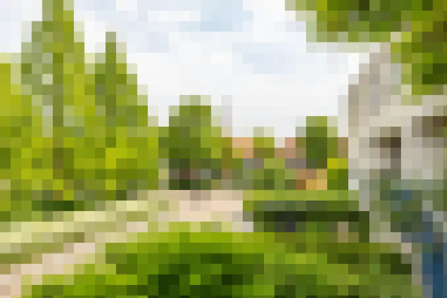 Regentessestraat 65 Groningen thumbnail 38