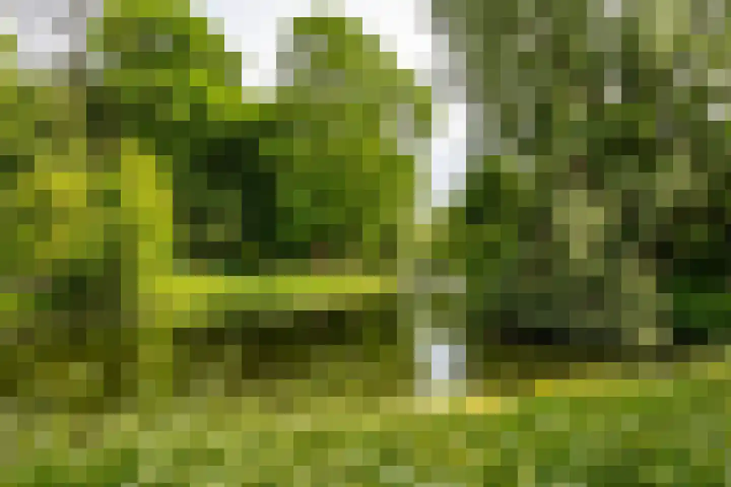 Regentessestraat 65 Groningen thumbnail 40