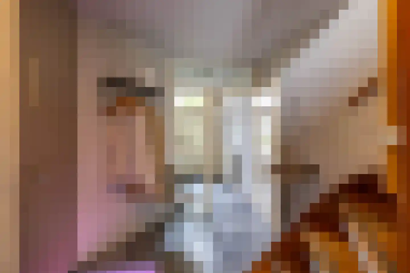 Regentessestraat 65 Groningen thumbnail 8