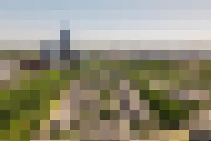 Regentesseweg 22 Almere thumbnail 26