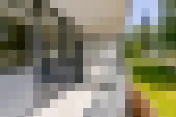 Regentesseweg 22 Almere thumbnail 9