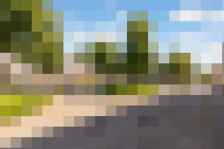 Regentesseweg 36 Almere thumbnail 36