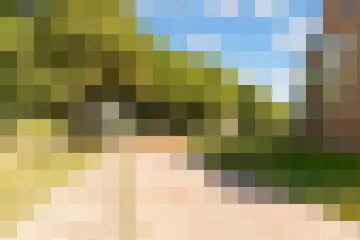 Regentesseweg 36 Almere thumbnail 37