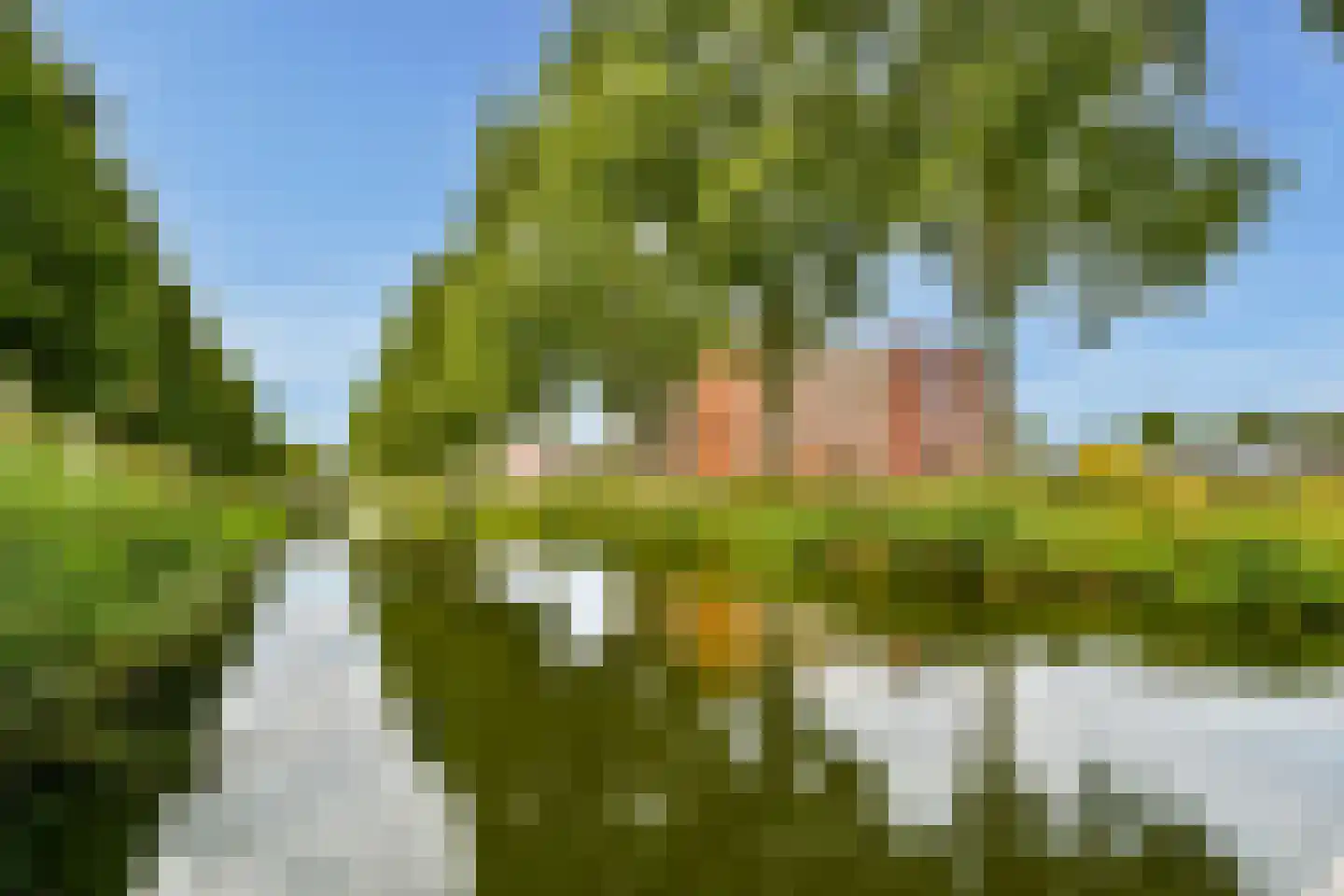 Regentesseweg 84 Almere thumbnail 26