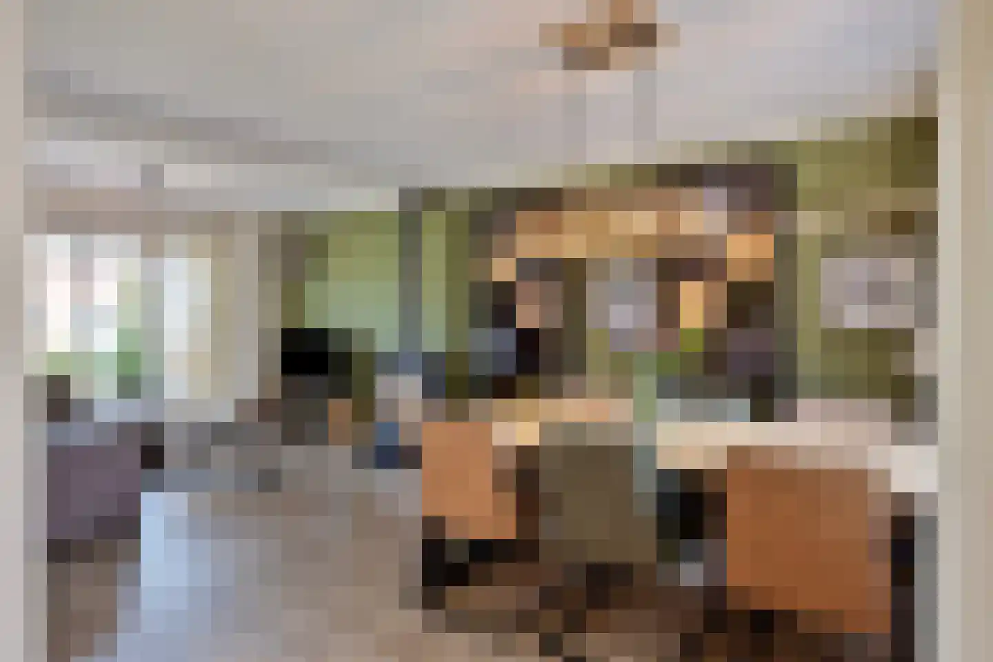 Regenwicestraat 15 Diepenheim thumbnail 12