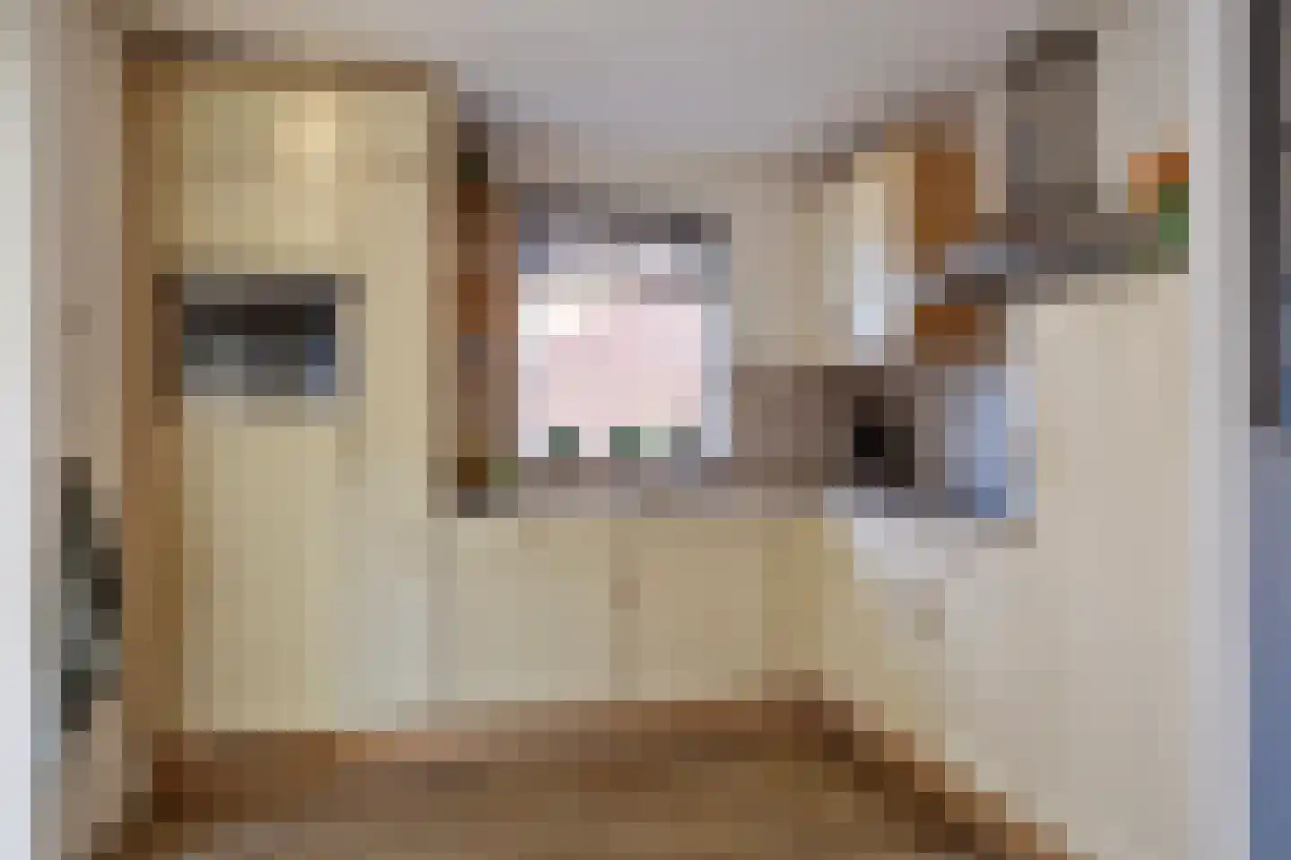 Regenwicestraat 15 Diepenheim thumbnail 15