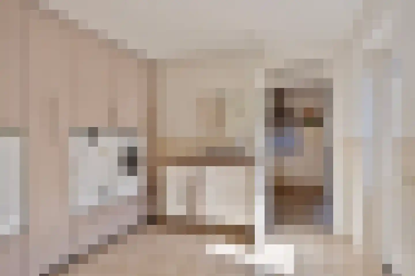 Regenwicestraat 15 Diepenheim thumbnail 17
