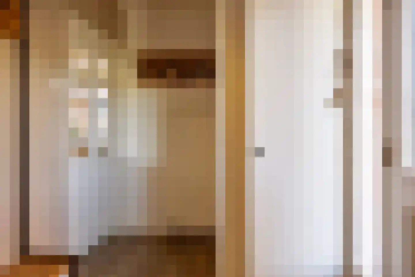 Regenwicestraat 15 Diepenheim thumbnail 18