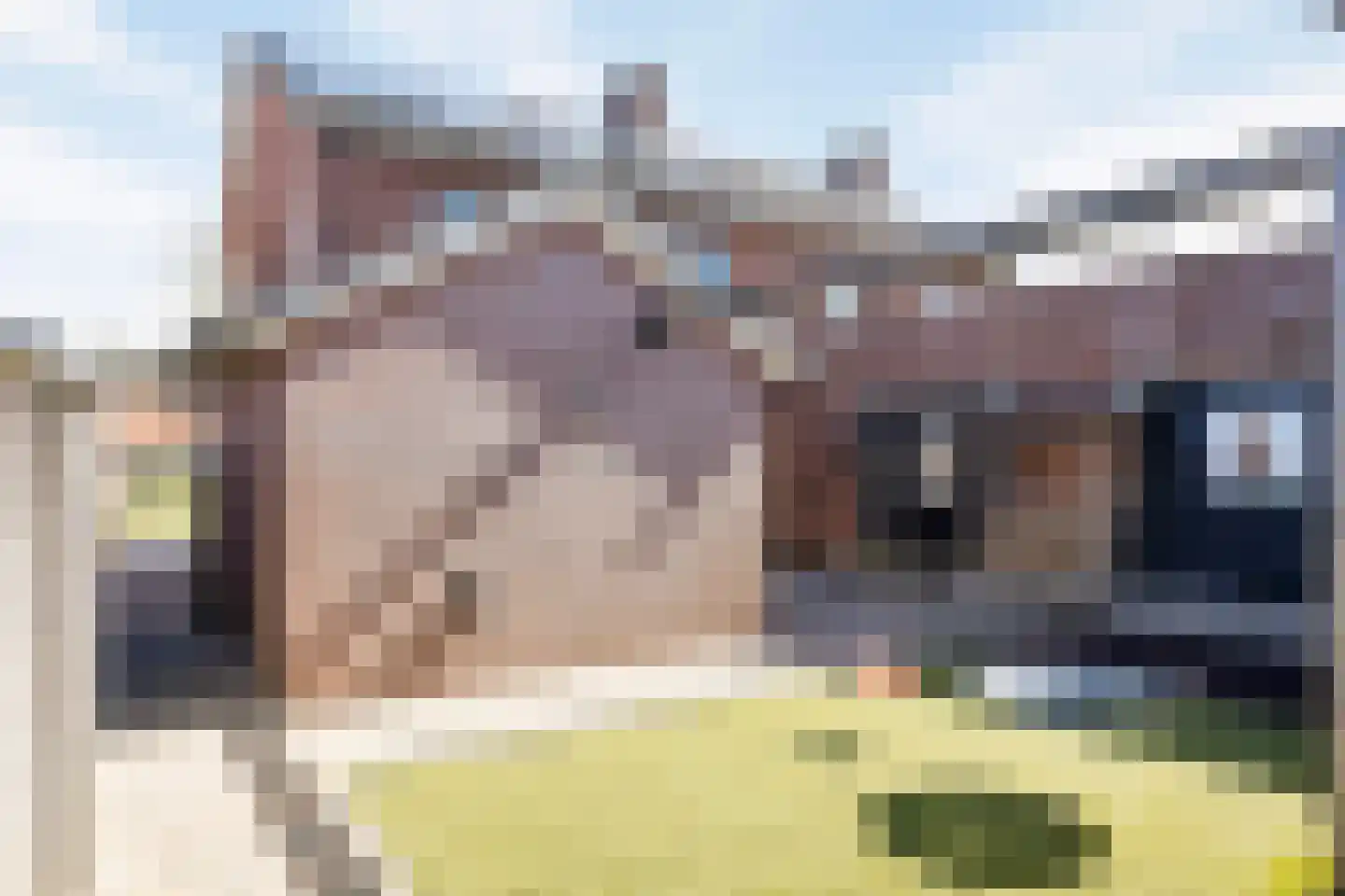 Regenwicestraat 15 Diepenheim thumbnail 33