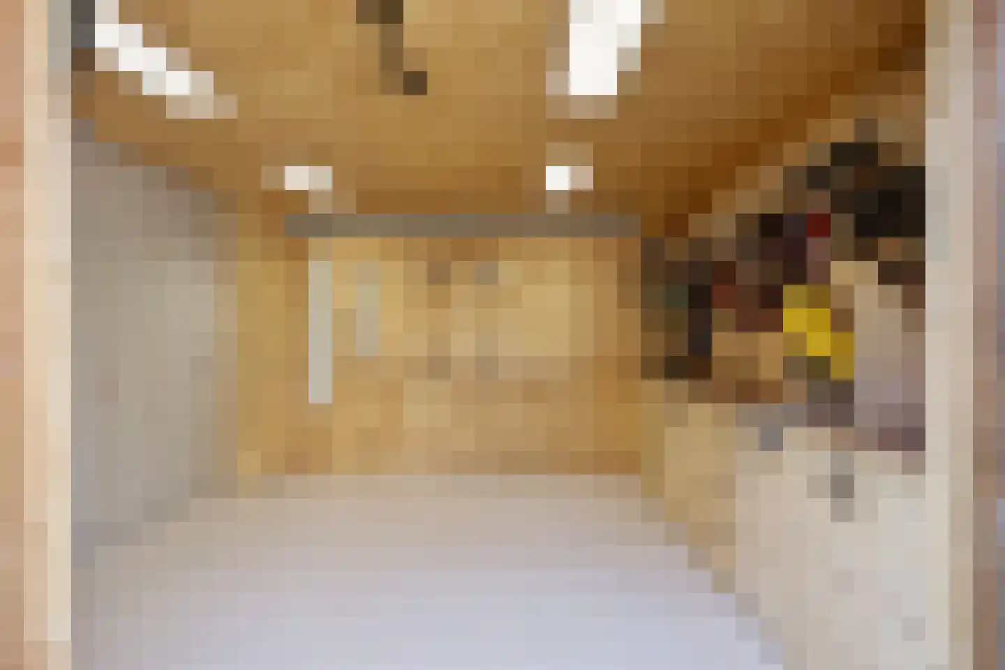 Regenwicestraat 15 Diepenheim thumbnail 36