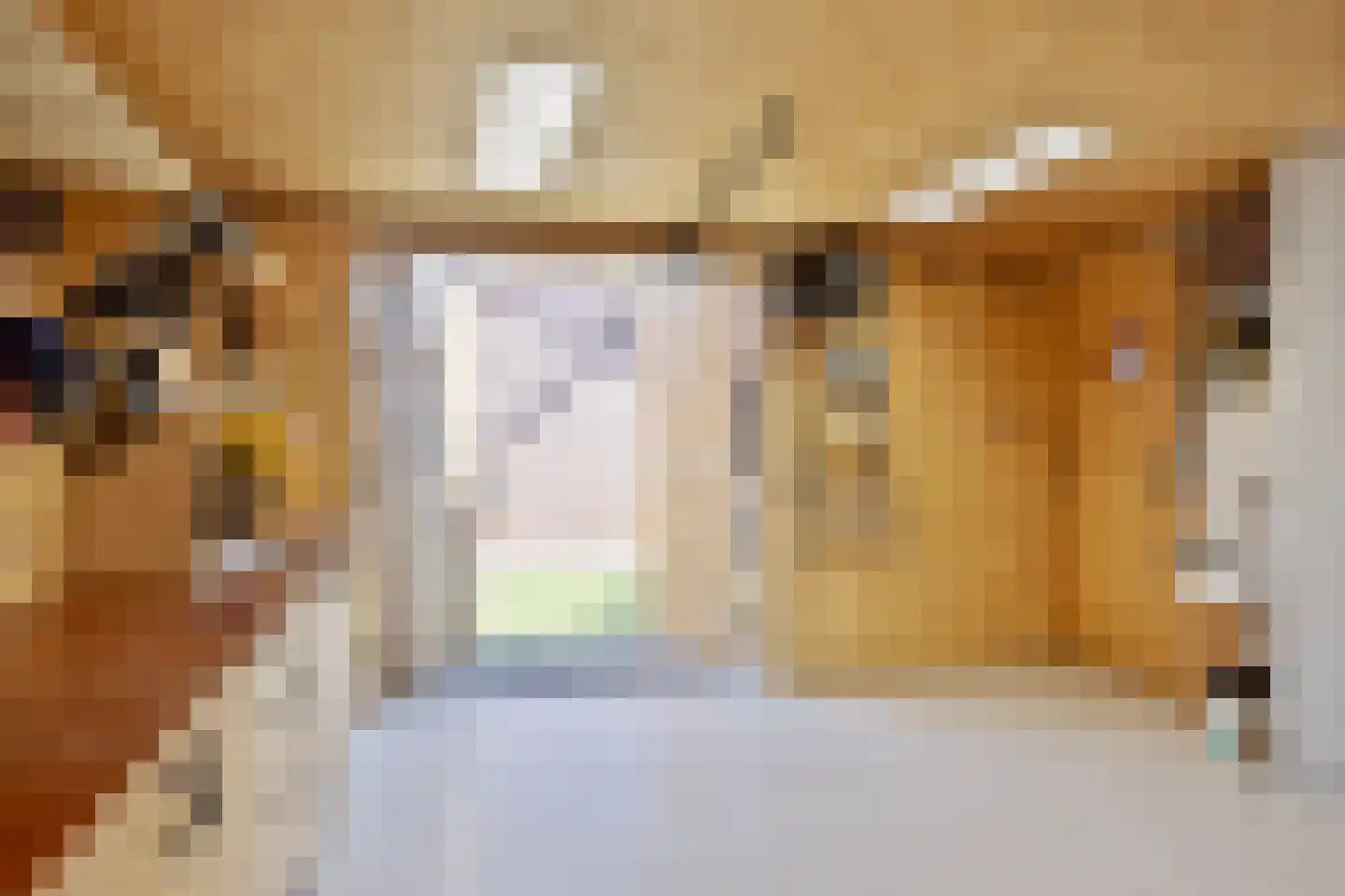 Regenwicestraat 15 Diepenheim thumbnail 37