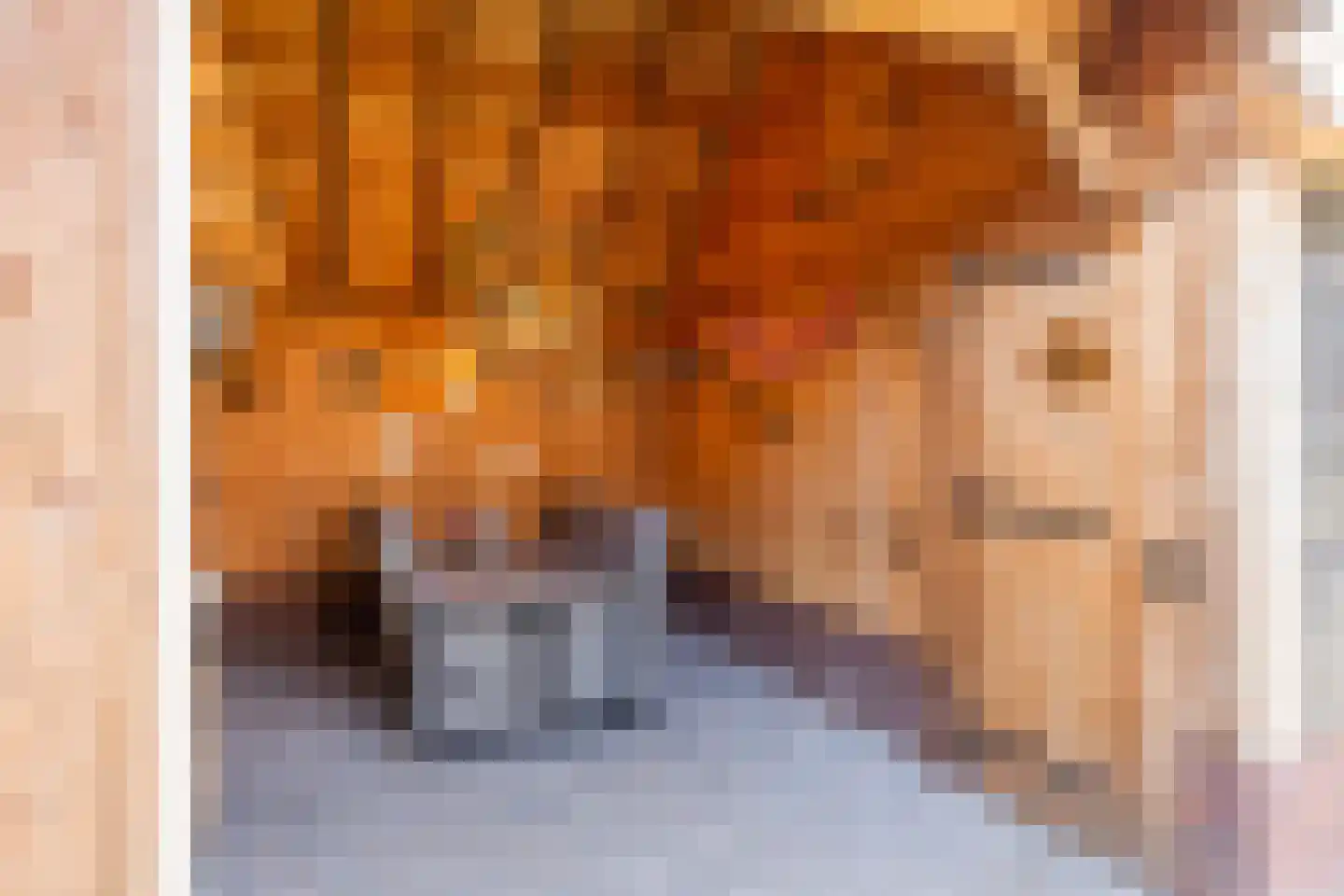 Regenwicestraat 15 Diepenheim thumbnail 42