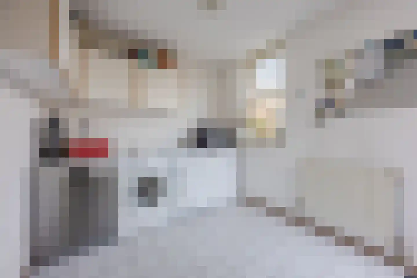 Regenwulp 13 Goirle thumbnail 15