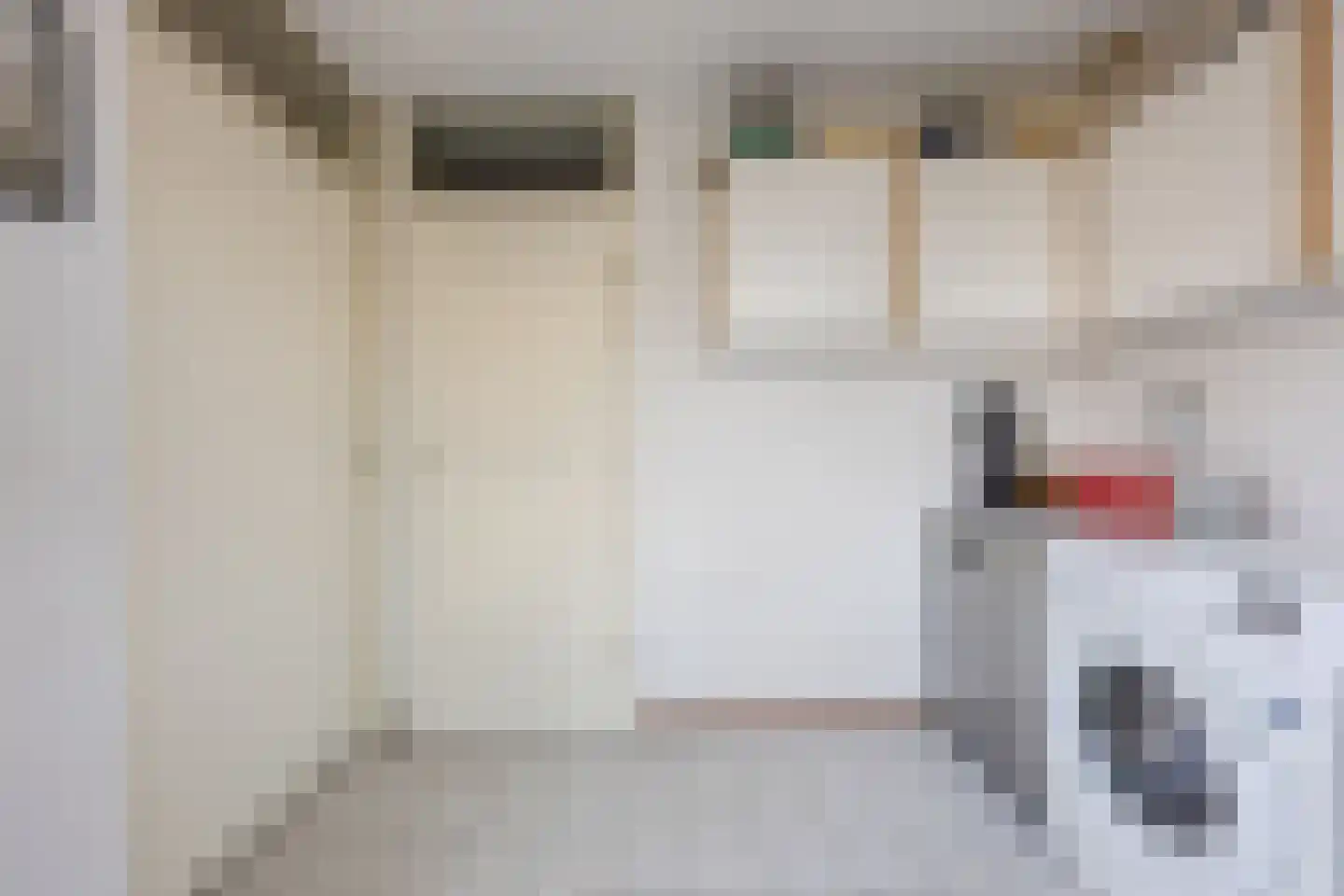 Regenwulp 13 Goirle thumbnail 16