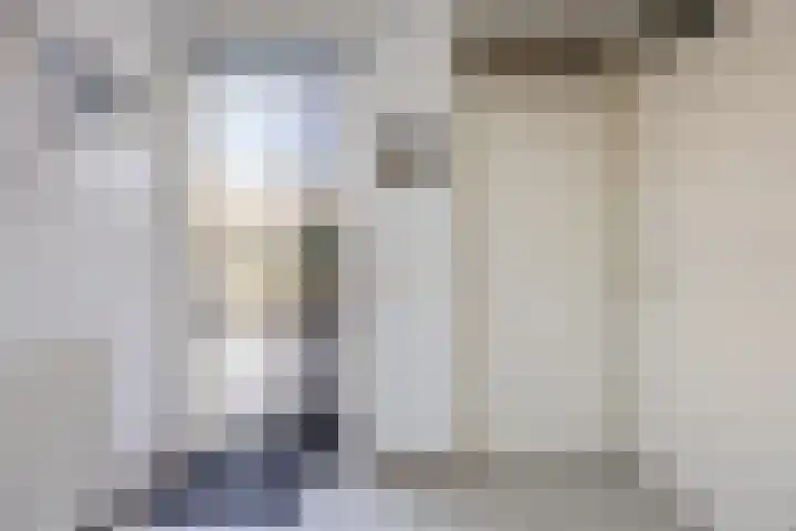 Regenwulp 13 Goirle thumbnail 17
