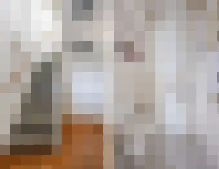 Regenwulp 13 Goirle thumbnail 18