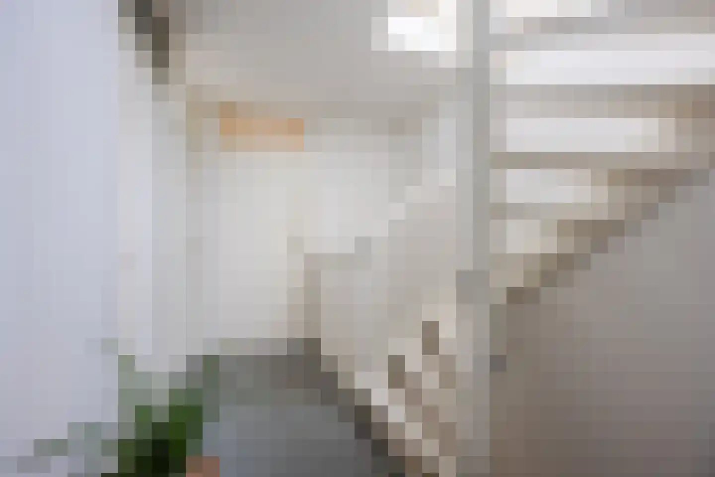 Regenwulp 13 Goirle thumbnail 19