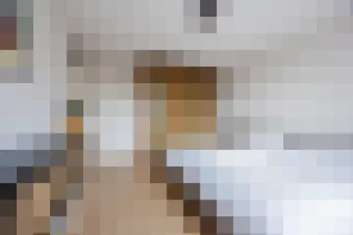 Regenwulp 13 Goirle thumbnail 22
