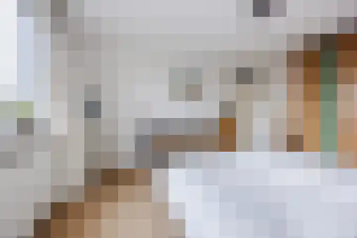 Regenwulp 13 Goirle thumbnail 23