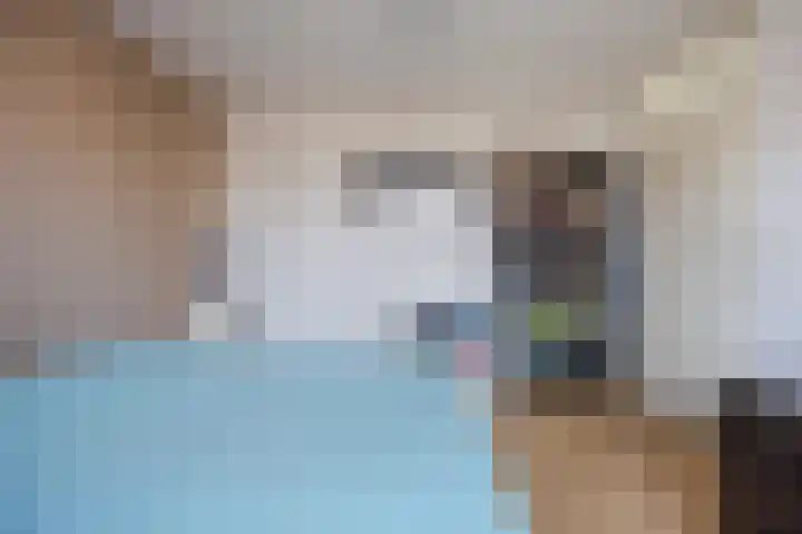 Regenwulp 13 Goirle thumbnail 26