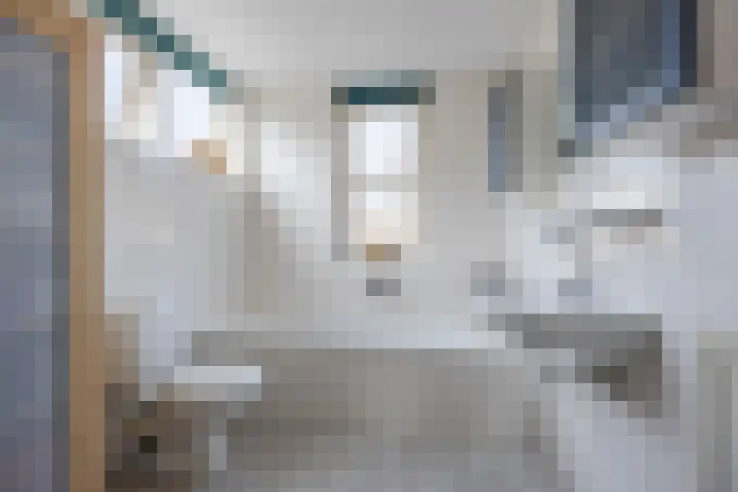 Regenwulp 13 Goirle thumbnail 29