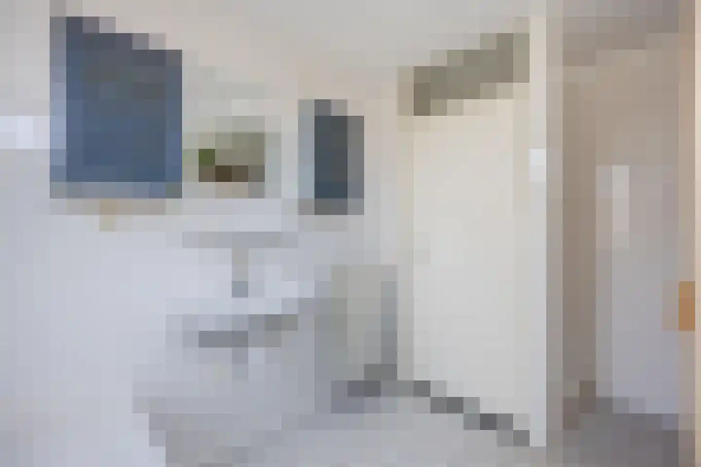 Regenwulp 13 Goirle thumbnail 31