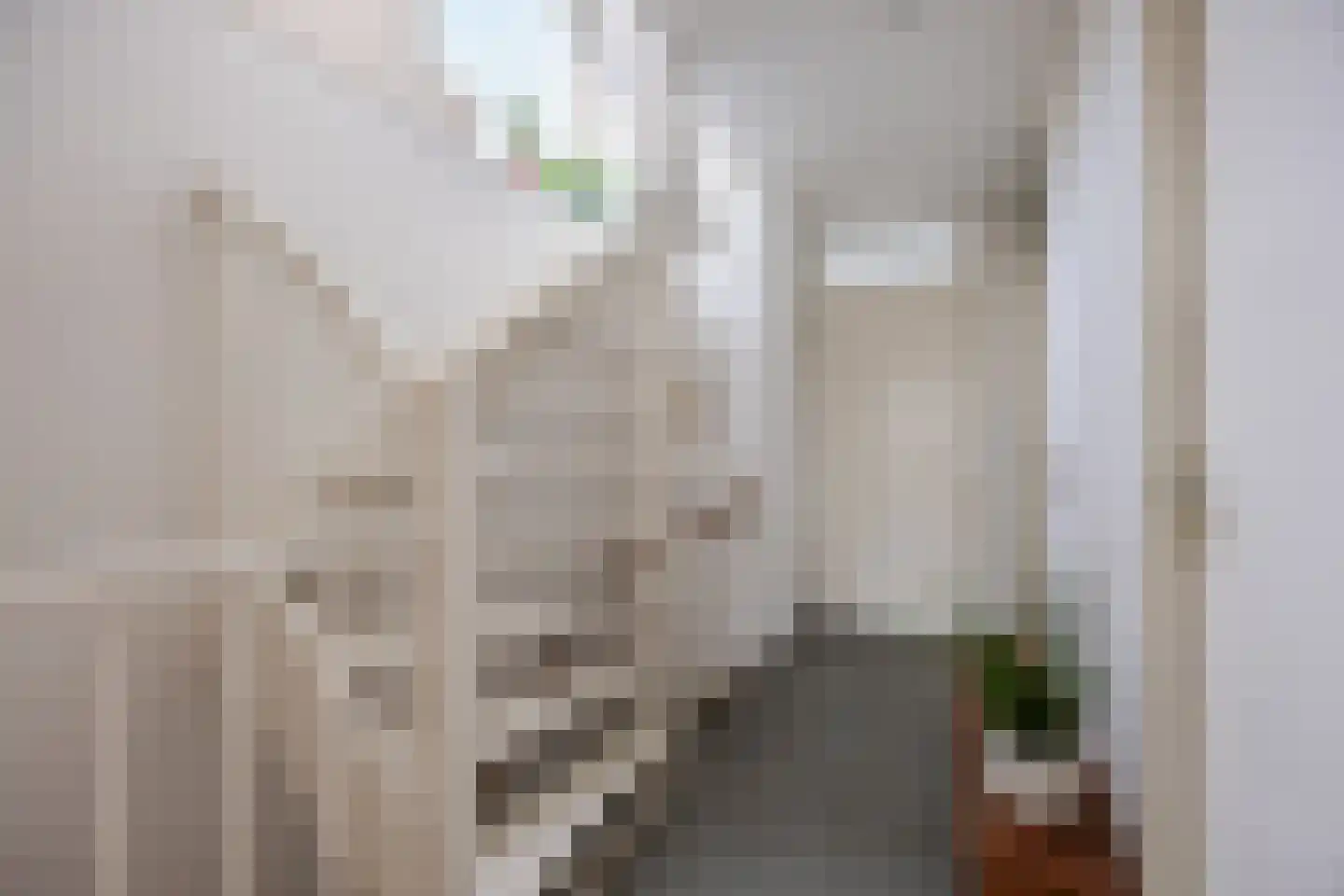 Regenwulp 13 Goirle thumbnail 33