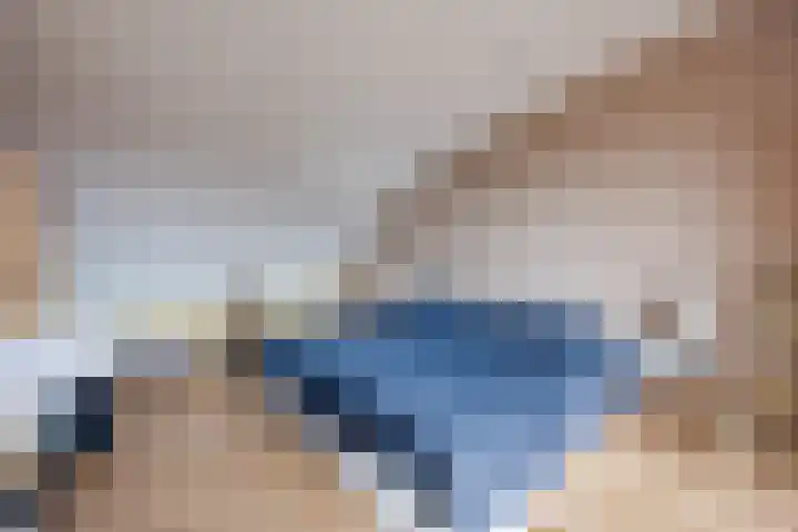 Regenwulp 13 Goirle thumbnail 35