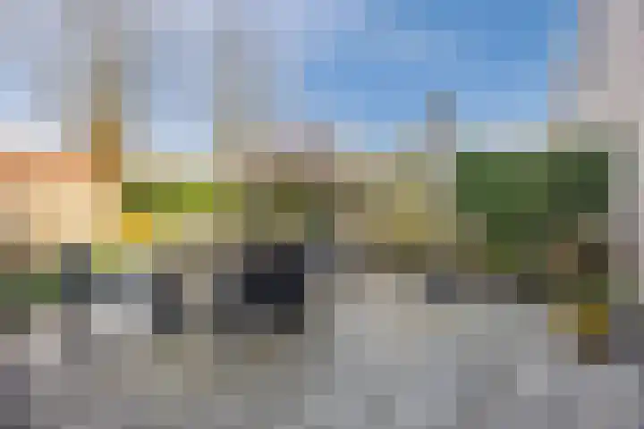 Regenwulp 13 Goirle thumbnail 41
