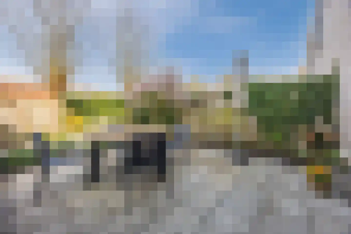 Regenwulp 13 Goirle thumbnail 44