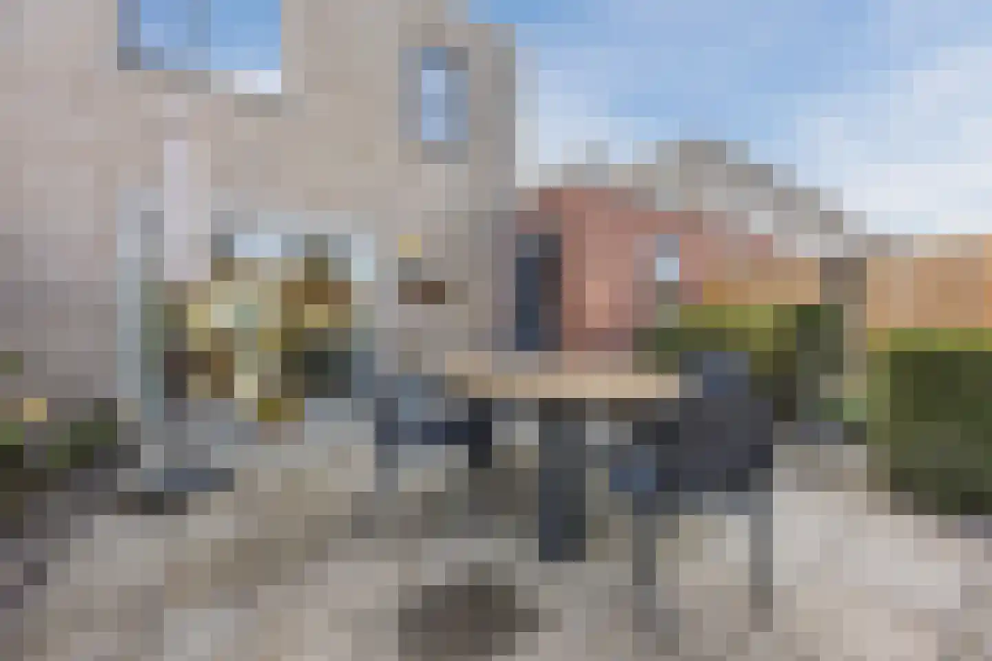 Regenwulp 13 Goirle thumbnail 46