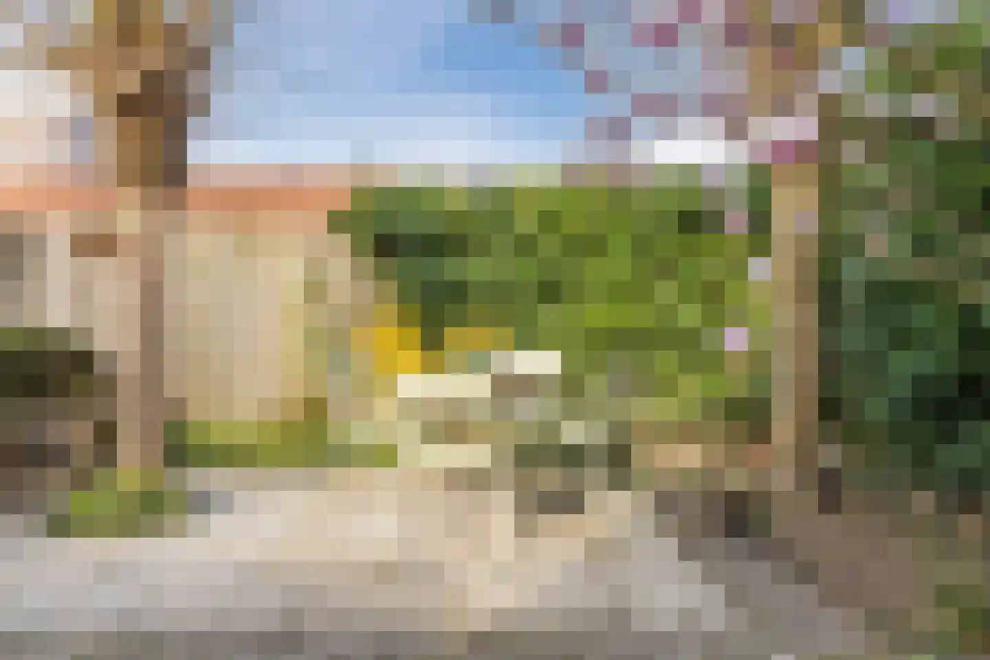 Regenwulp 13 Goirle thumbnail 48