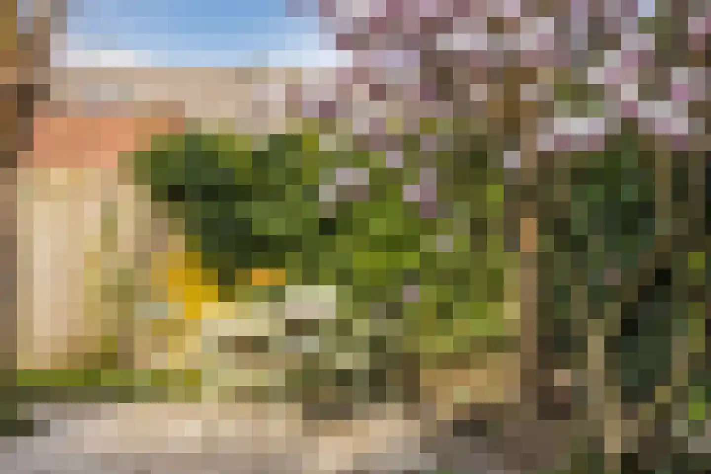 Regenwulp 13 Goirle thumbnail 49