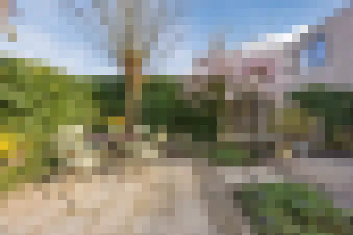 Regenwulp 13 Goirle thumbnail 50