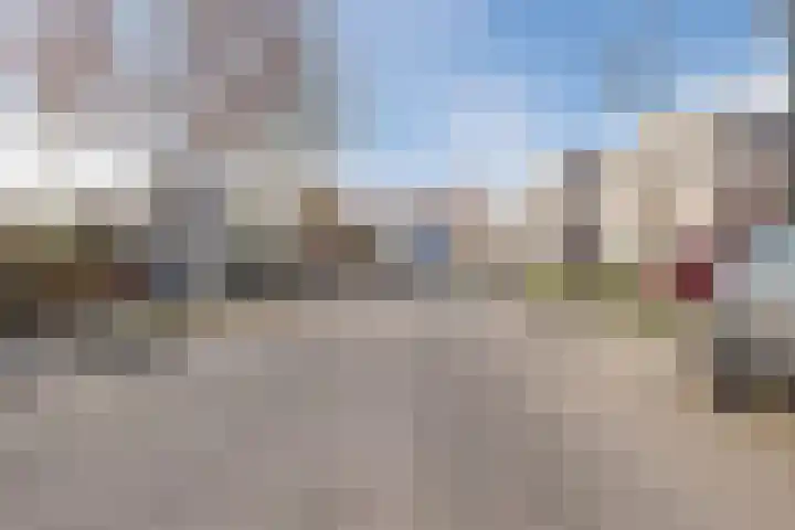 Regenwulp 13 Goirle thumbnail 52