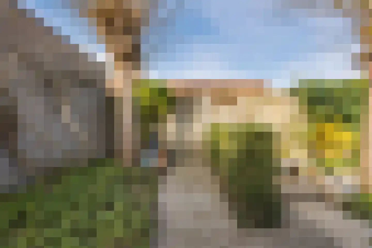 Regenwulp 13 Goirle thumbnail 53