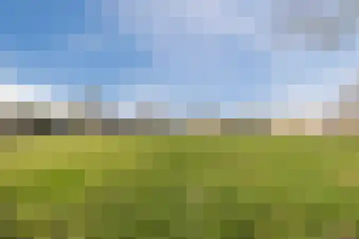 Regenwulp 13 Goirle thumbnail 53