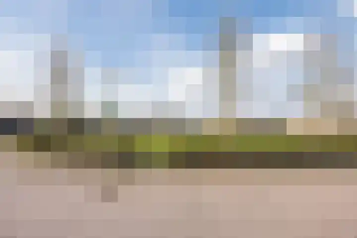 Regenwulp 13 Goirle thumbnail 54