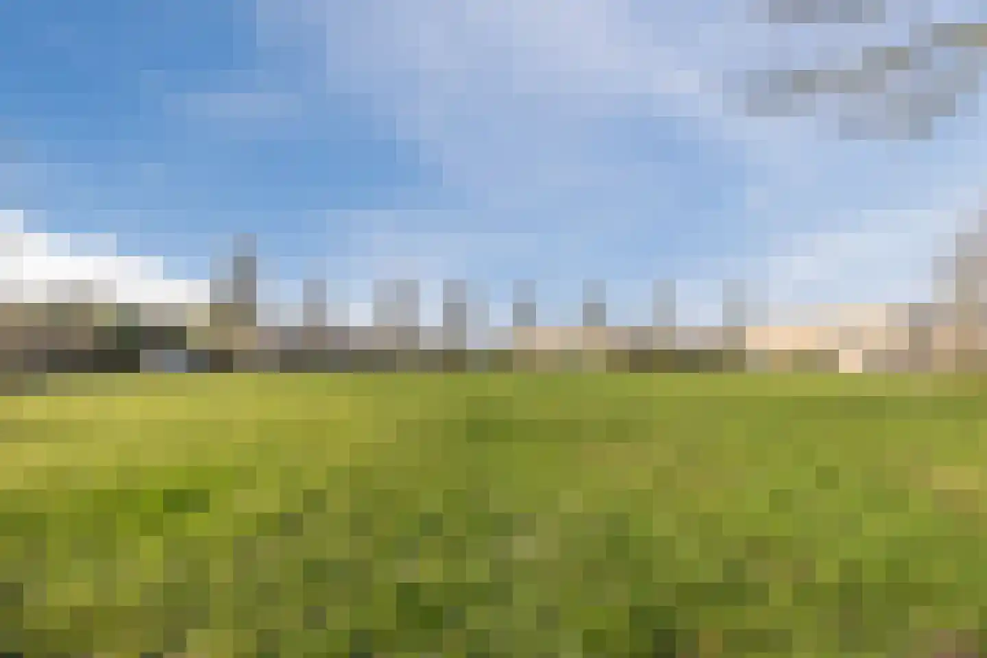 Regenwulp 13 Goirle thumbnail 56