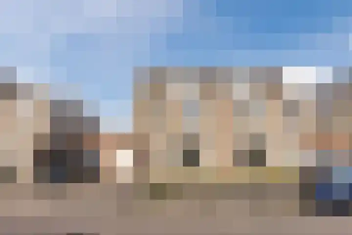 Regenwulp 13 Goirle thumbnail 58