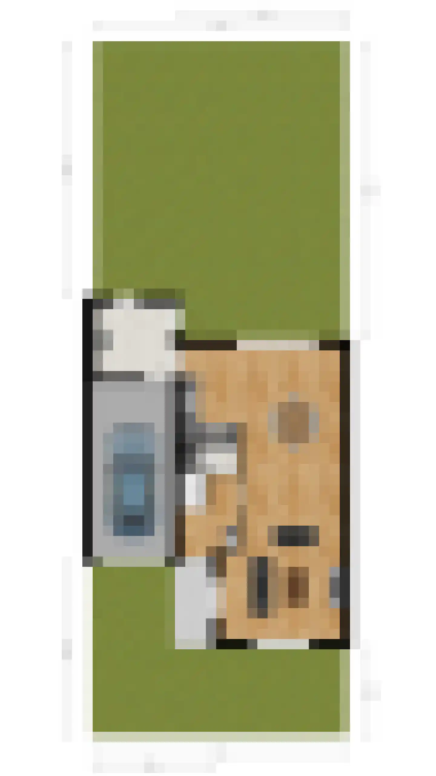 Regenwulp 13 Goirle thumbnail 64