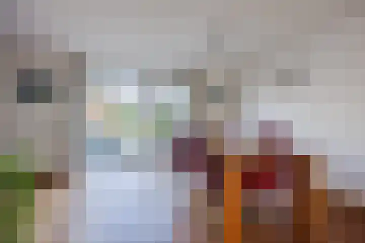 Regenwulp 13 Goirle thumbnail 9