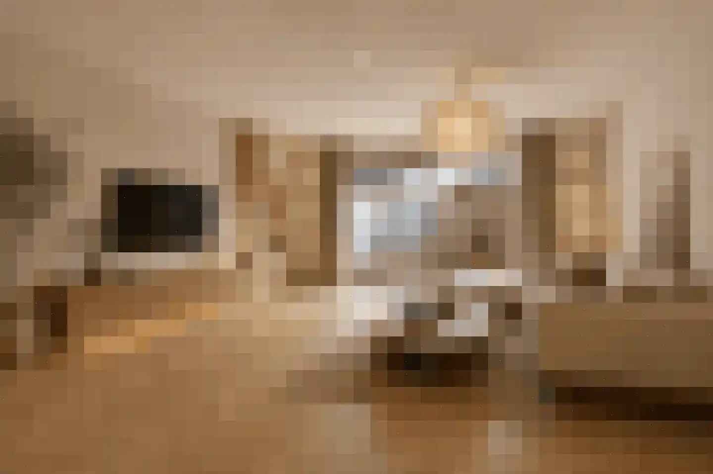 Regenwulp 14 Muiderberg thumbnail 12